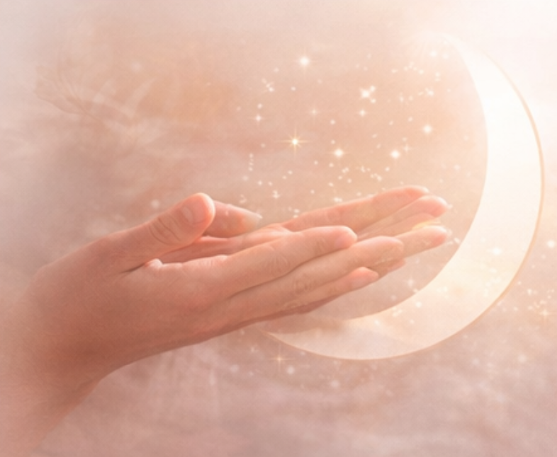 kinesiologue toulouse